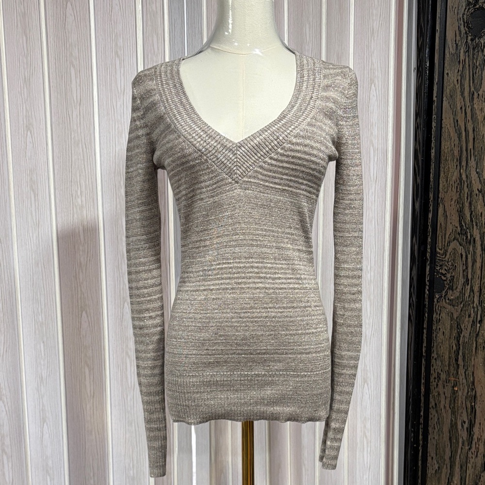 Express Taupe V-Neck Women's Sweater
